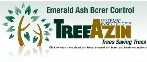 emerald-ash-borer-treatment-300x128