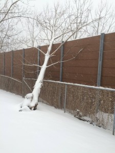 12487043_1020444067997174_7668897211300086840_o