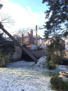 12493900_1019730954735152_6940261476305017441_o