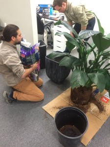 12494009_1022964367745144_3586739411902632773_o