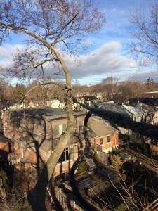 12640243_1029852740389640_550648410309562841_o