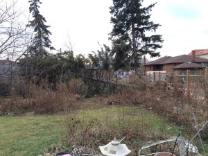 12716437_1034928233215424_2949220495902902392_o