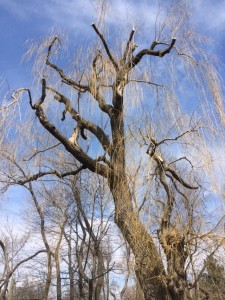 ec0dc0714ba57d1ac49706d0ee5ad3bd