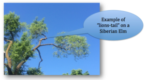 Screen Shot 2016-06-23 at 12.27.36 PM