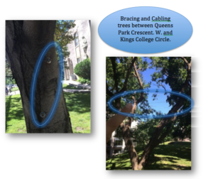 Screen Shot 2016-06-23 at 12.33.11 PM