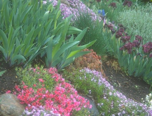 2018 Landscape Design Trends and Tips