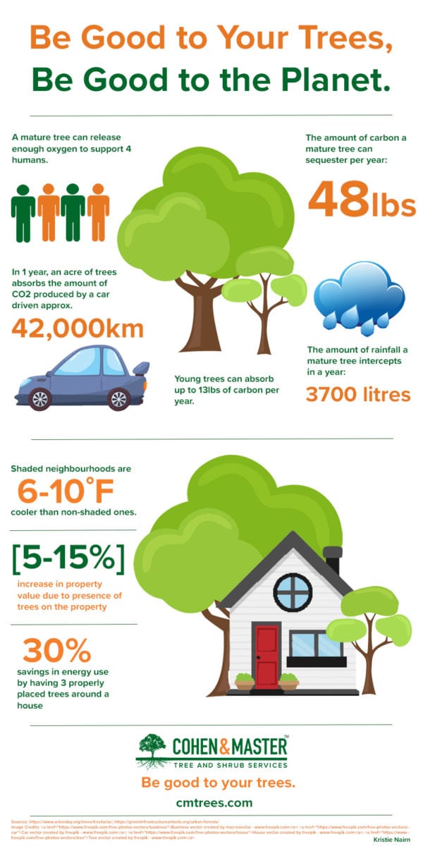 Earth Day Infographic Cohen & Master Trees