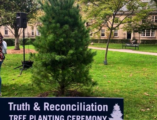 White Pine Planting – Truth & Reconciliation Ceremonial Tree Planting at University of Toronto