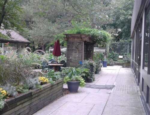 Hidden Arboretum – The Sunnybrook Veterans’ Centre Garden