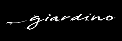 Logo black background
